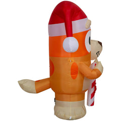 Gemmy Bluey Bingo lit on a porch at night showing included lighting and glowing holiday effect