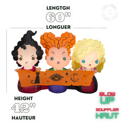 Gemmy Hocus Pocus Sisters costume close-up highlighting character detail and quality