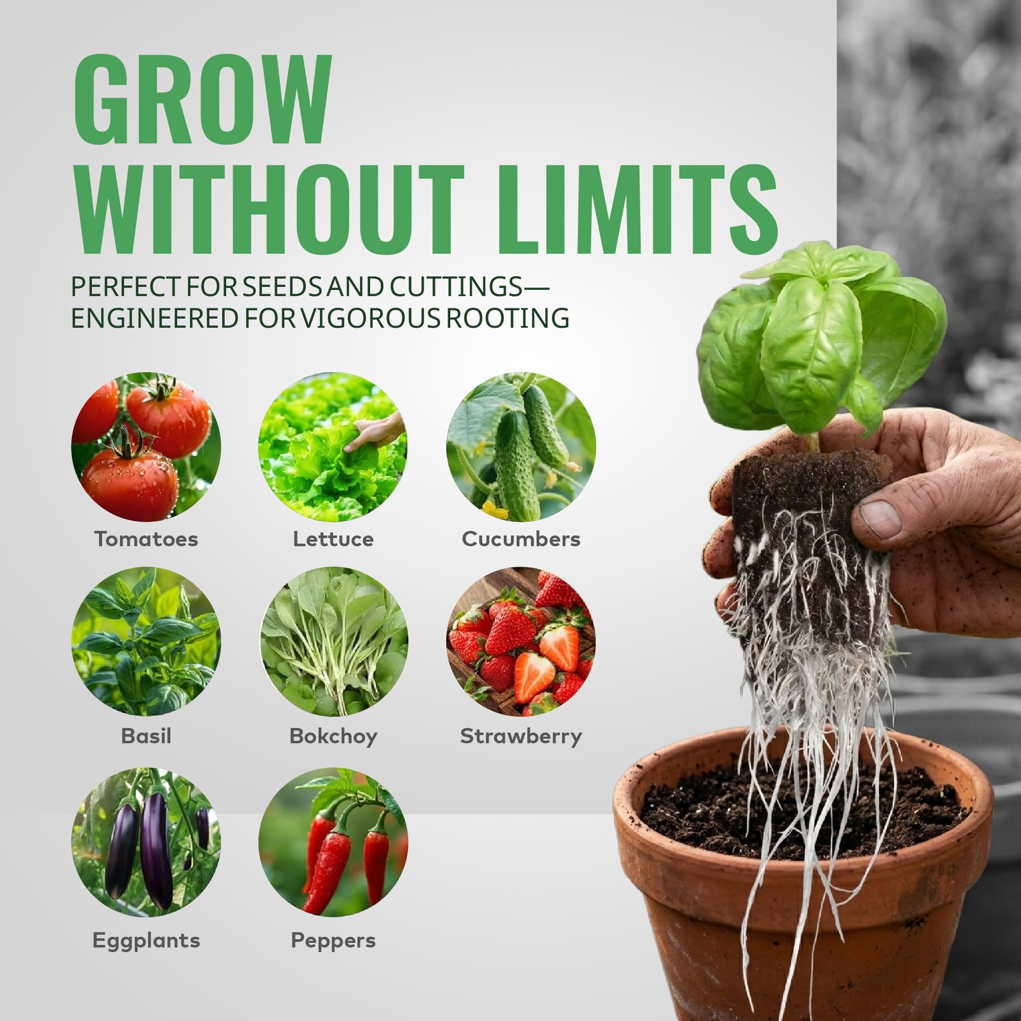 General Hydroponics plug seated in net pot inside hydroponic system for easy integration