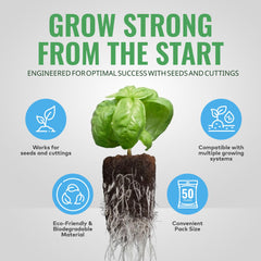 General Hydroponics plug with young seedling showing stable root support benefit