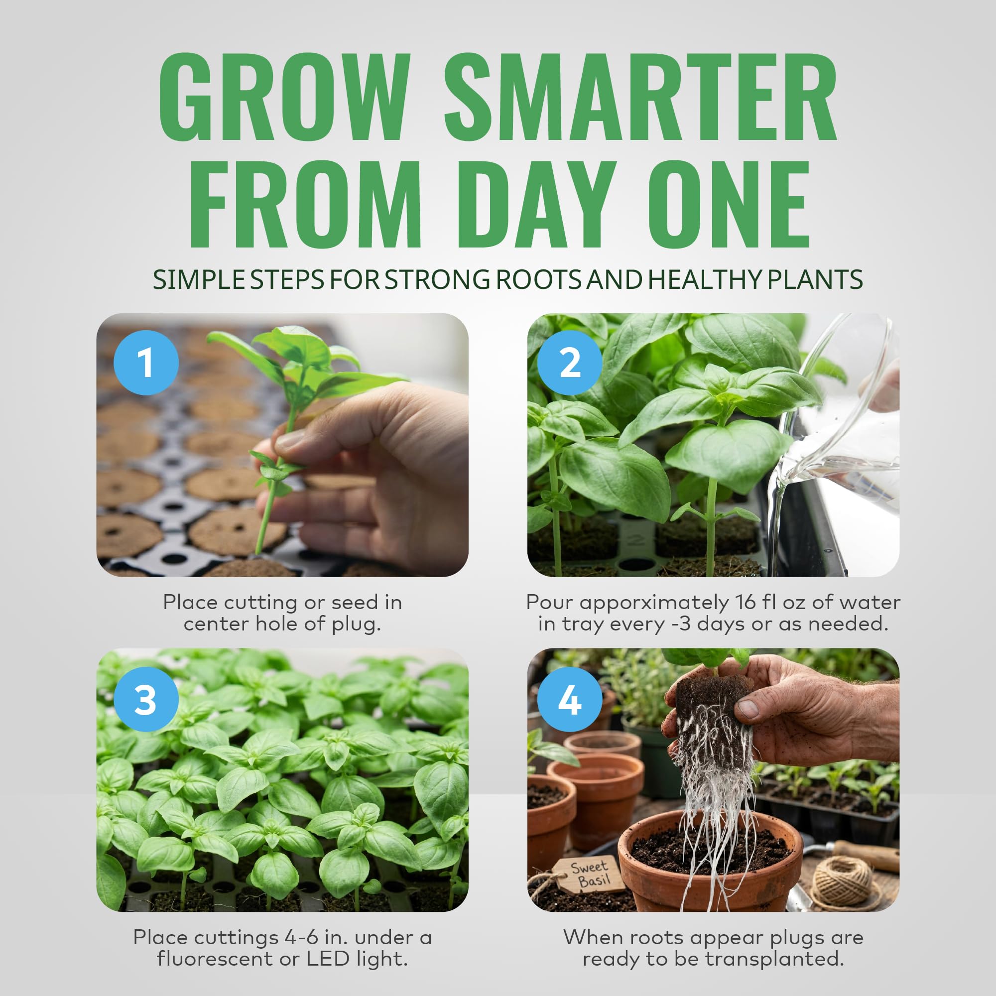 General Hydroponics transplanting plug into soil demonstrating reduced shock