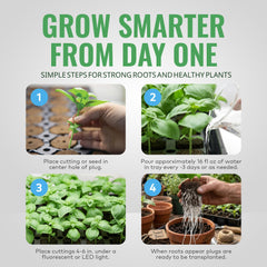 General Hydroponics transplanting plug into soil demonstrating reduced shock