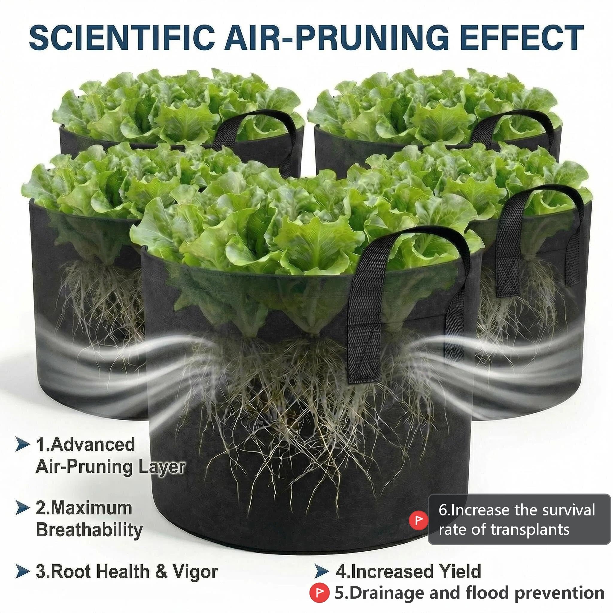 Generic grow bag base showing drainage and improved water management benefit