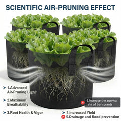 Generic grow bag base showing drainage and improved water management benefit