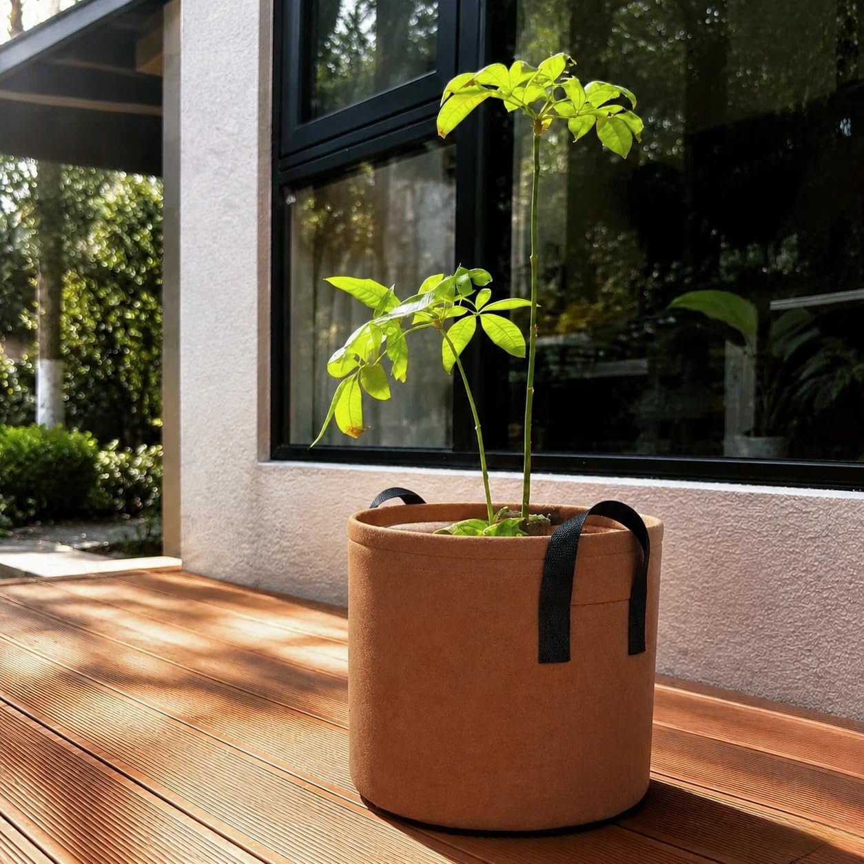 Generic patio setup with grow bags showing versatile use and attractive display