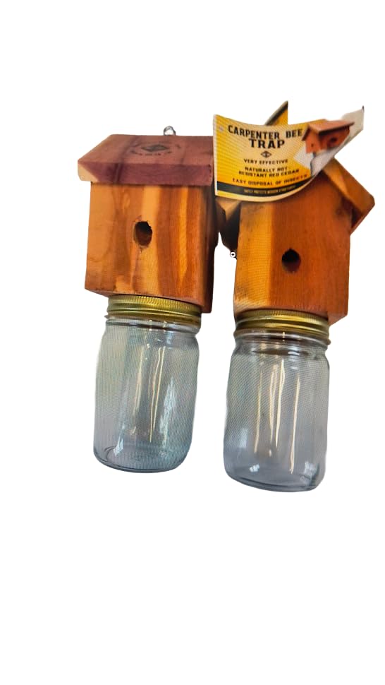 Generic cedar trap front view showing rustic look and effective protection
