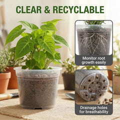 Generic clear pot close-up of multiple drainage holes improving waterflow and aeration