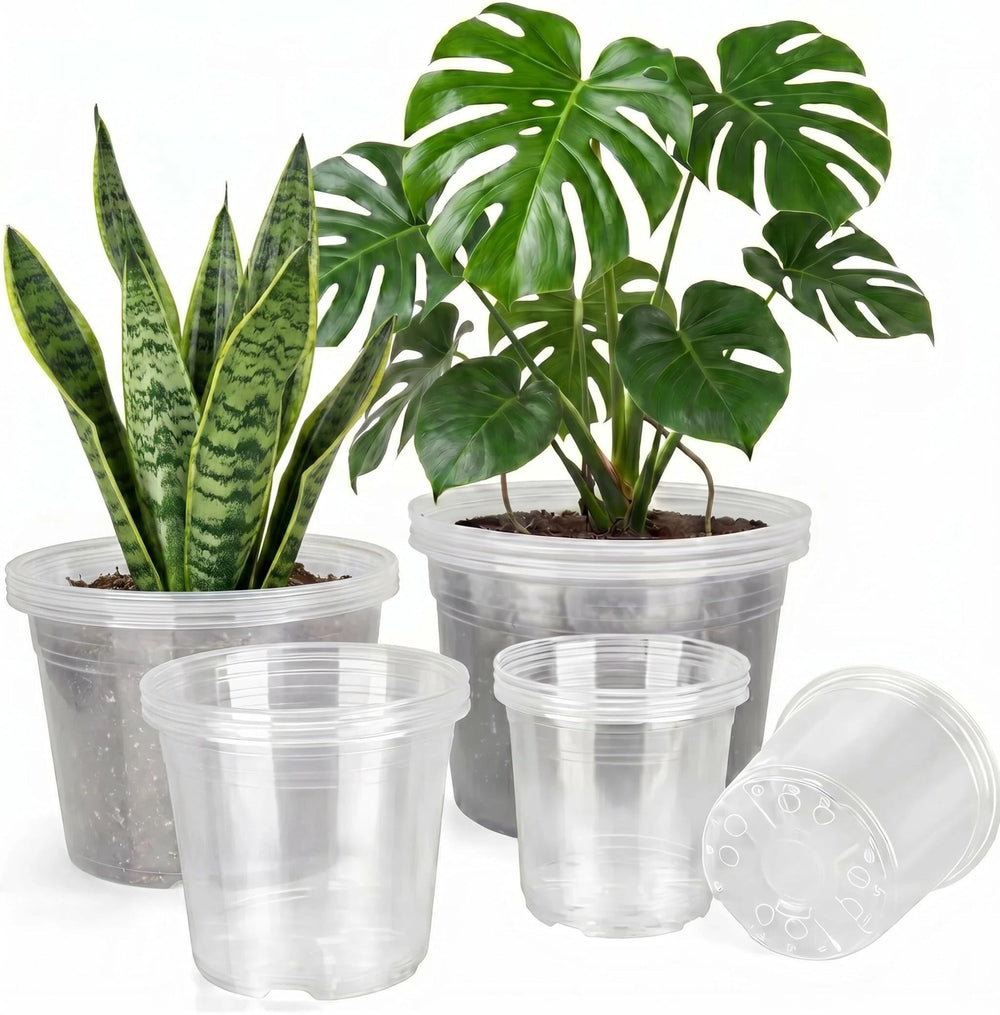 Generic clear pots front view showing full 16-pack and sizes for organized planting