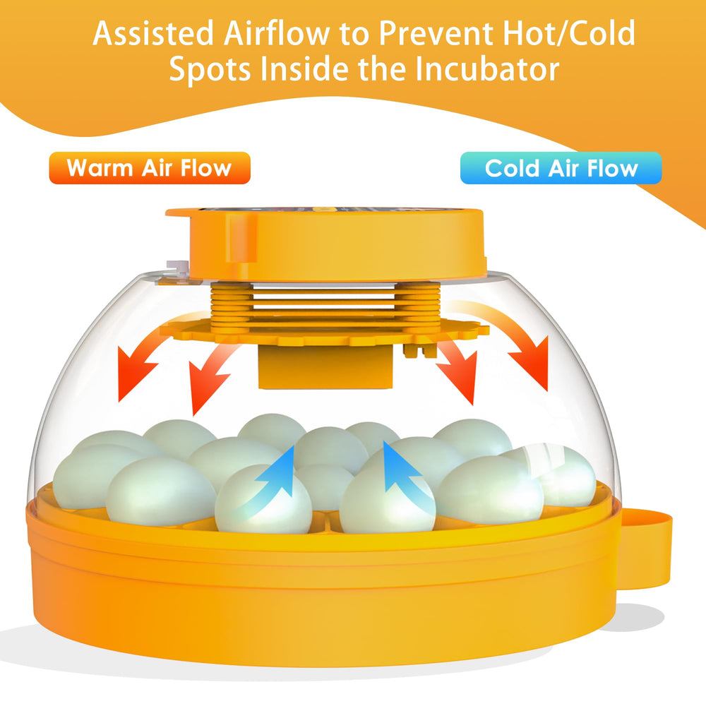 Generic interior dome and fan showing airflow, benefit even heat distribution