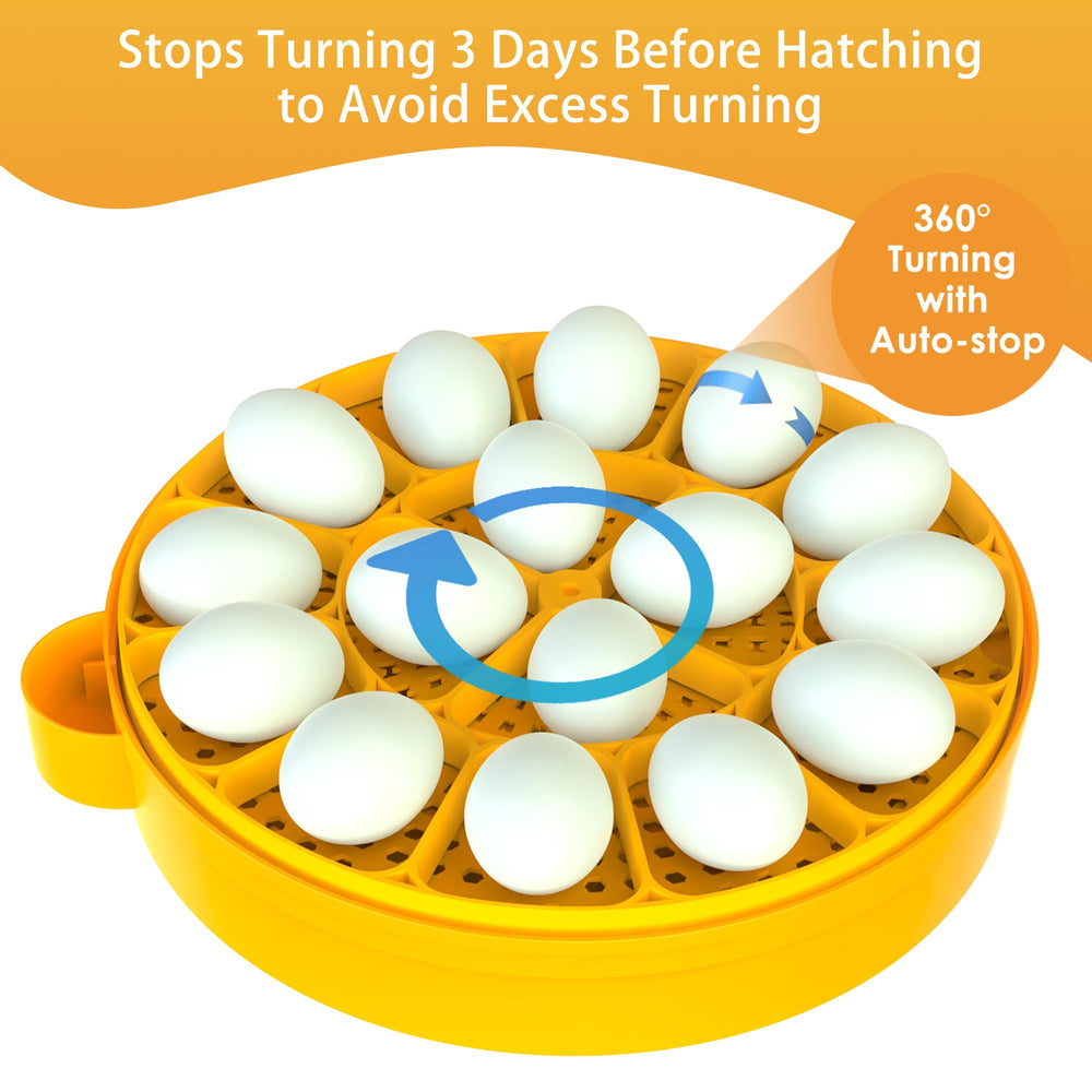 Generic egg candler illuminating an egg inside the incubator, benefit quick checks