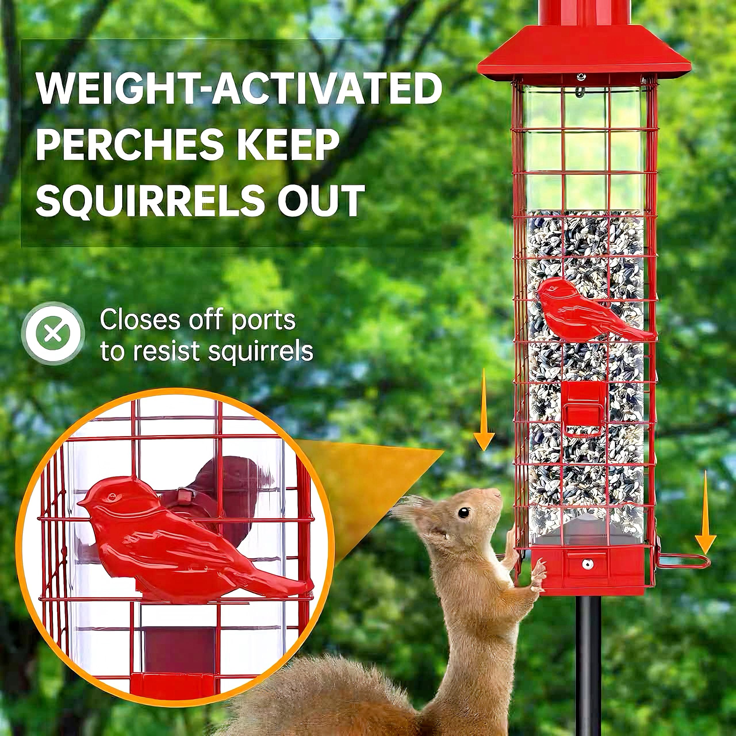 Generic brand feeder removable base removed for easy deep cleaning benefit