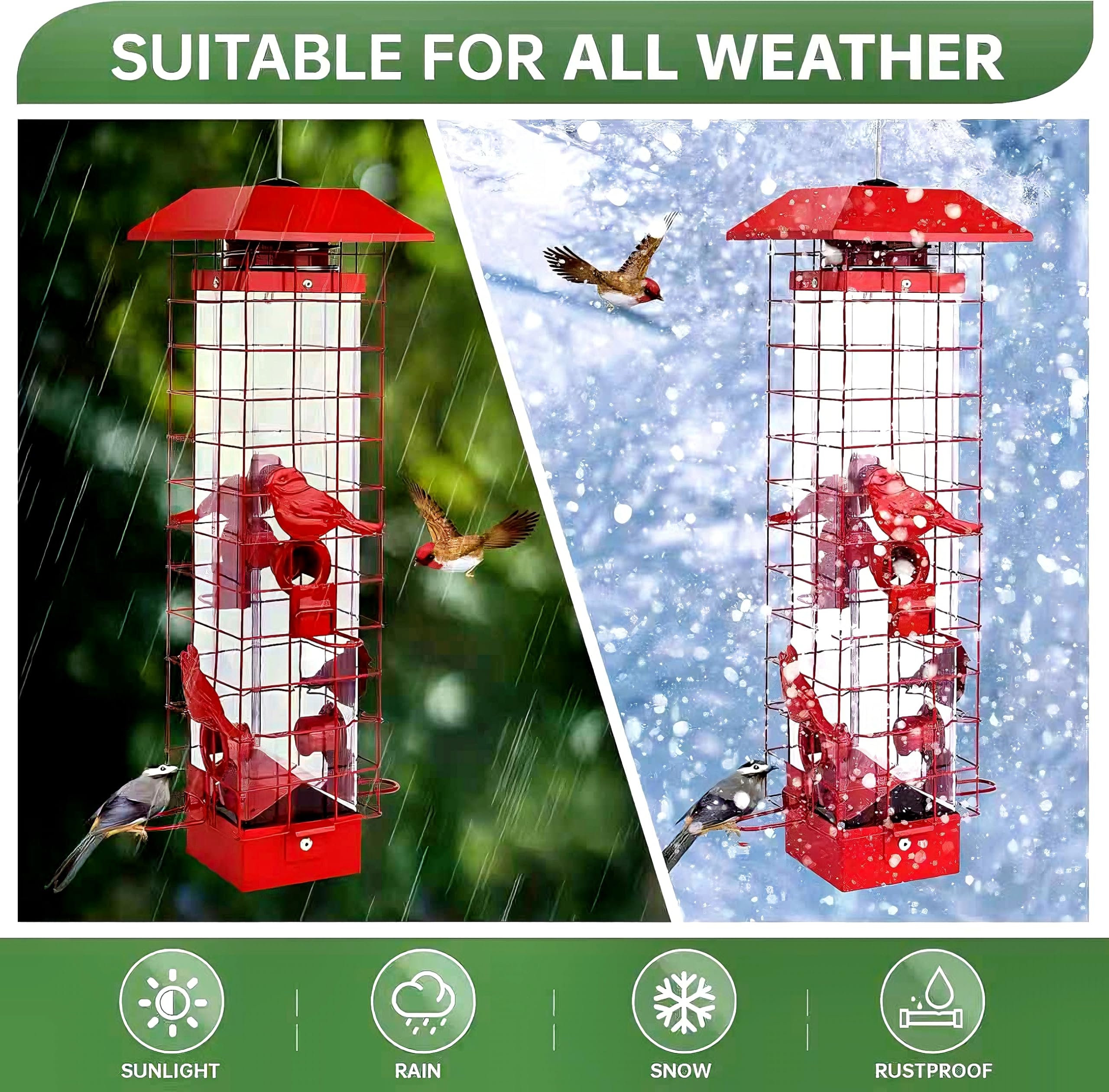 Generic brand four feeding ports close-up shows multi-bird access benefit