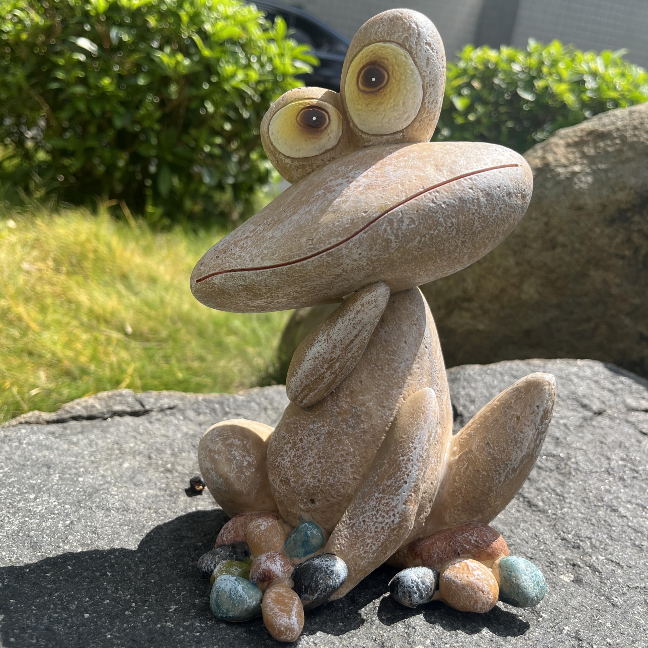 Generic frog on indoor shelf bringing cheerful decor to living space