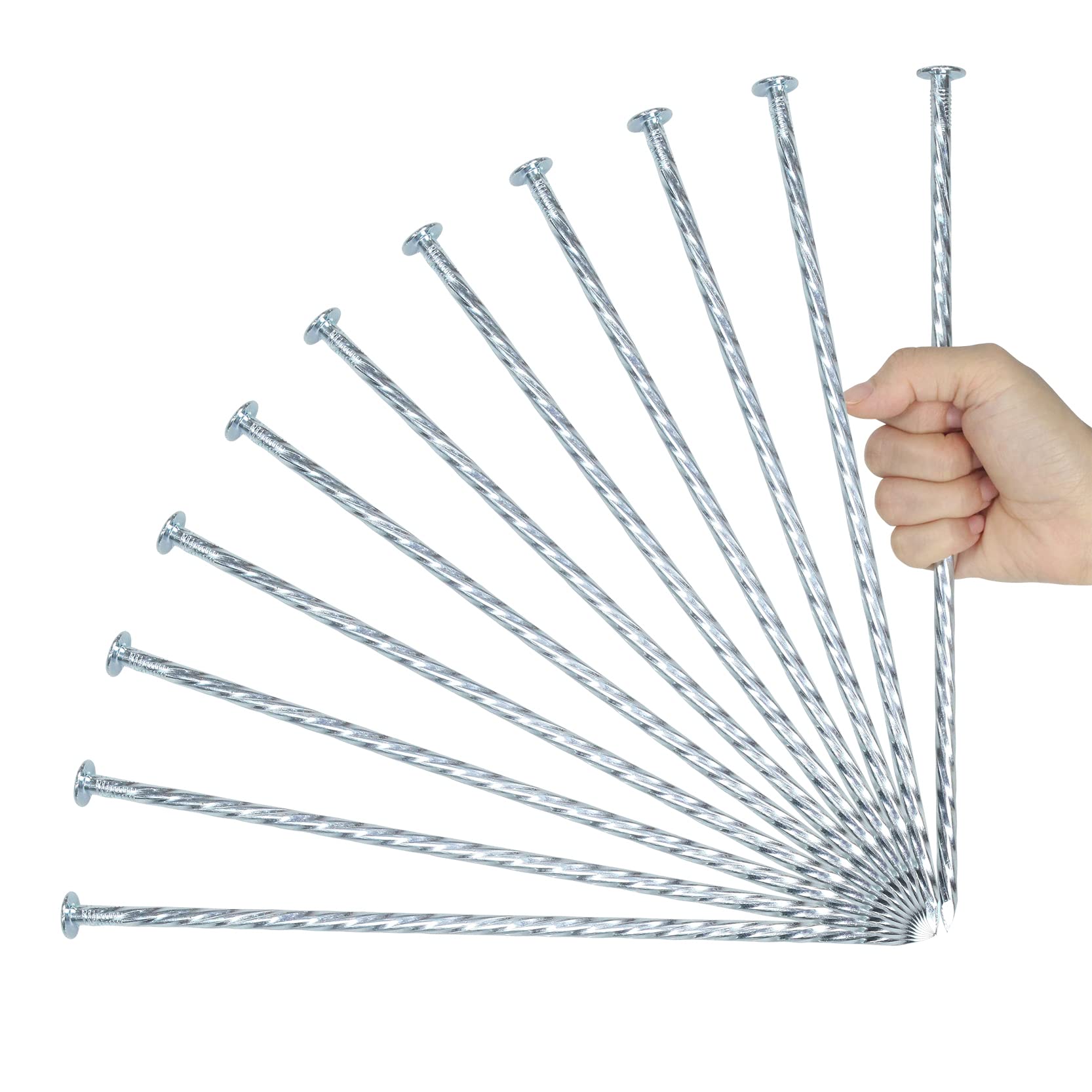 Generic front view of packaged 12-inch galvanized spiral landscape stakes showing quantity and shine