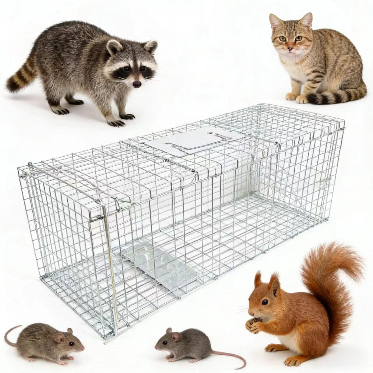 Generic front view of 24-inch trap showing foldable design and portability benefit