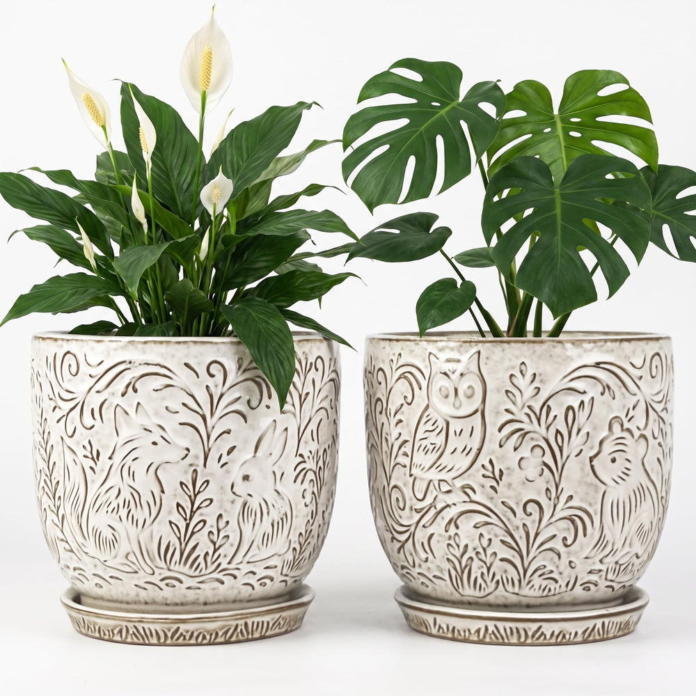Generic front view of both planters showing owl motifs and contrasting finishes, enhancing decor