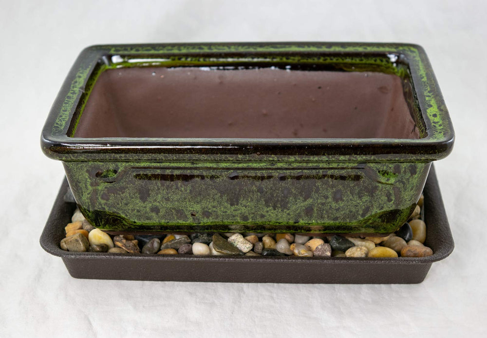 Generic close-up of moss green glaze texture highlighting ceramic finish