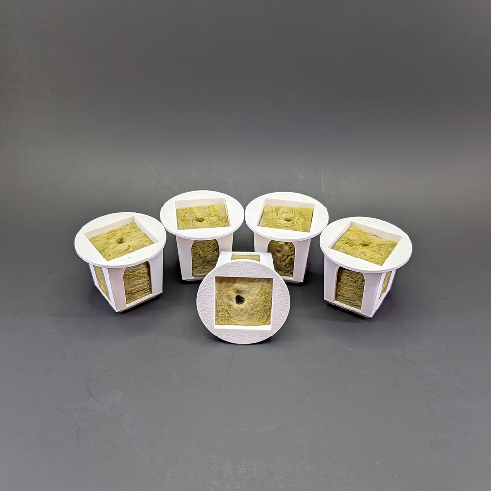Generic brand grow cube in a kitchen hydroponic setup showing versatile home use