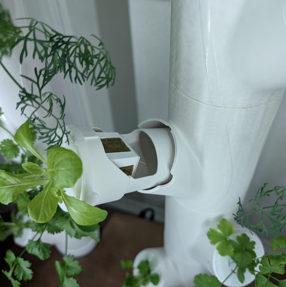 Generic grow cube revealing healthy root development indicating stronger root systems