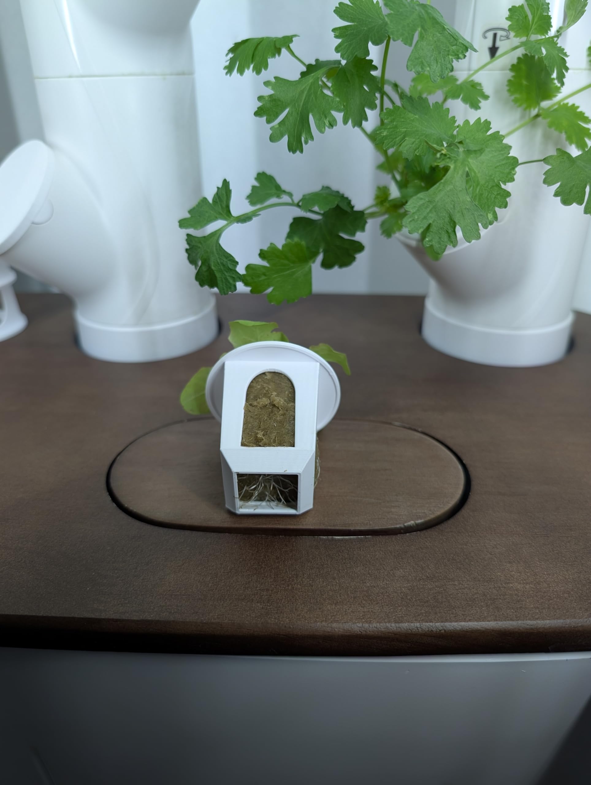 Generic grow cube next to a coin for scale showing compact dimensions and balance