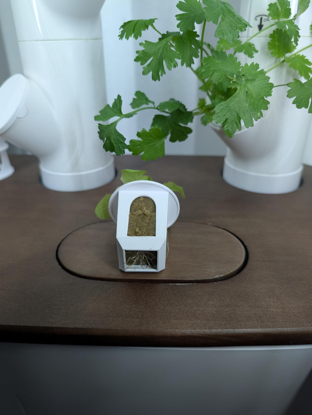 Generic grow cube next to a coin for scale showing compact dimensions and balance