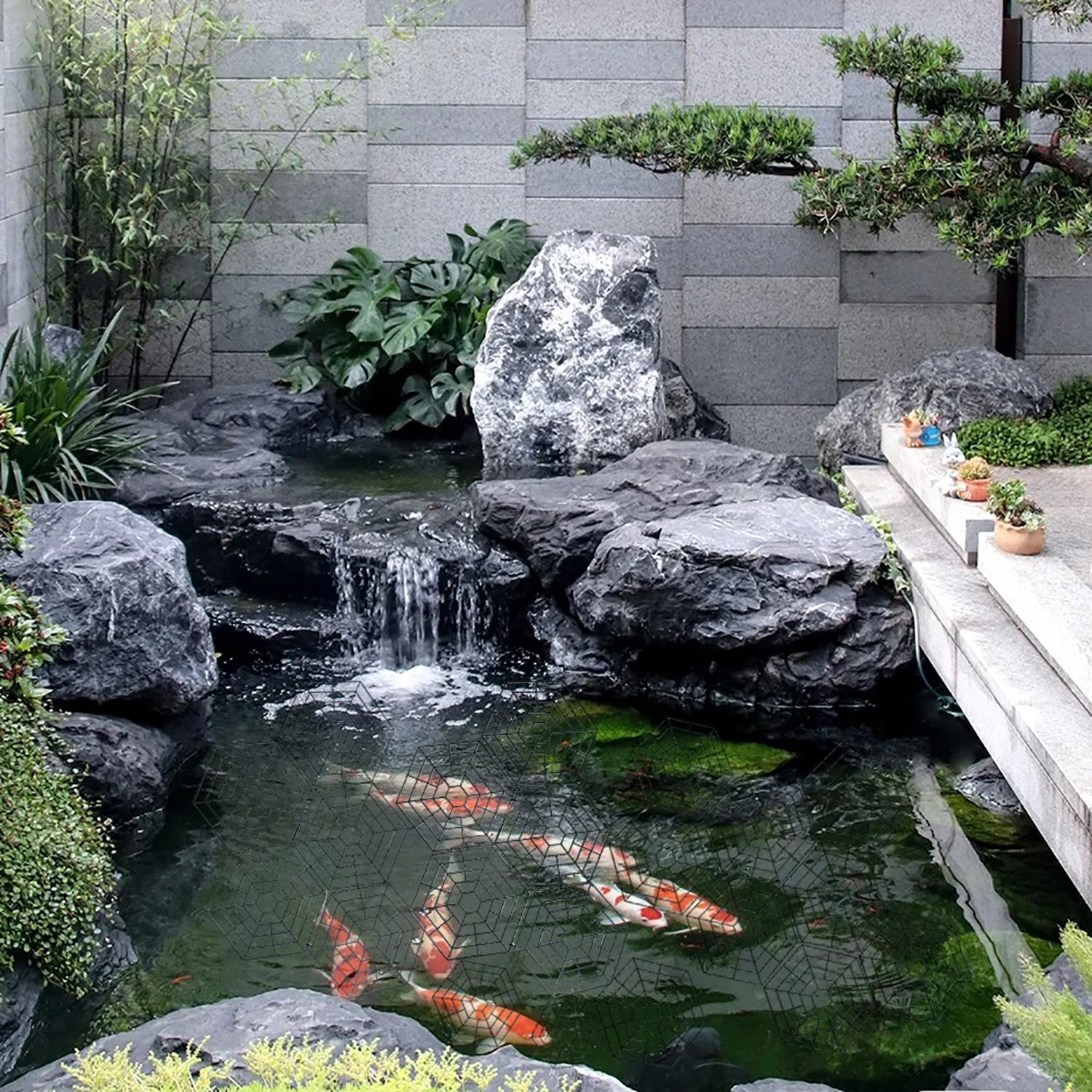 Generic pond scene with net in place demonstrating predator deterrent benefit