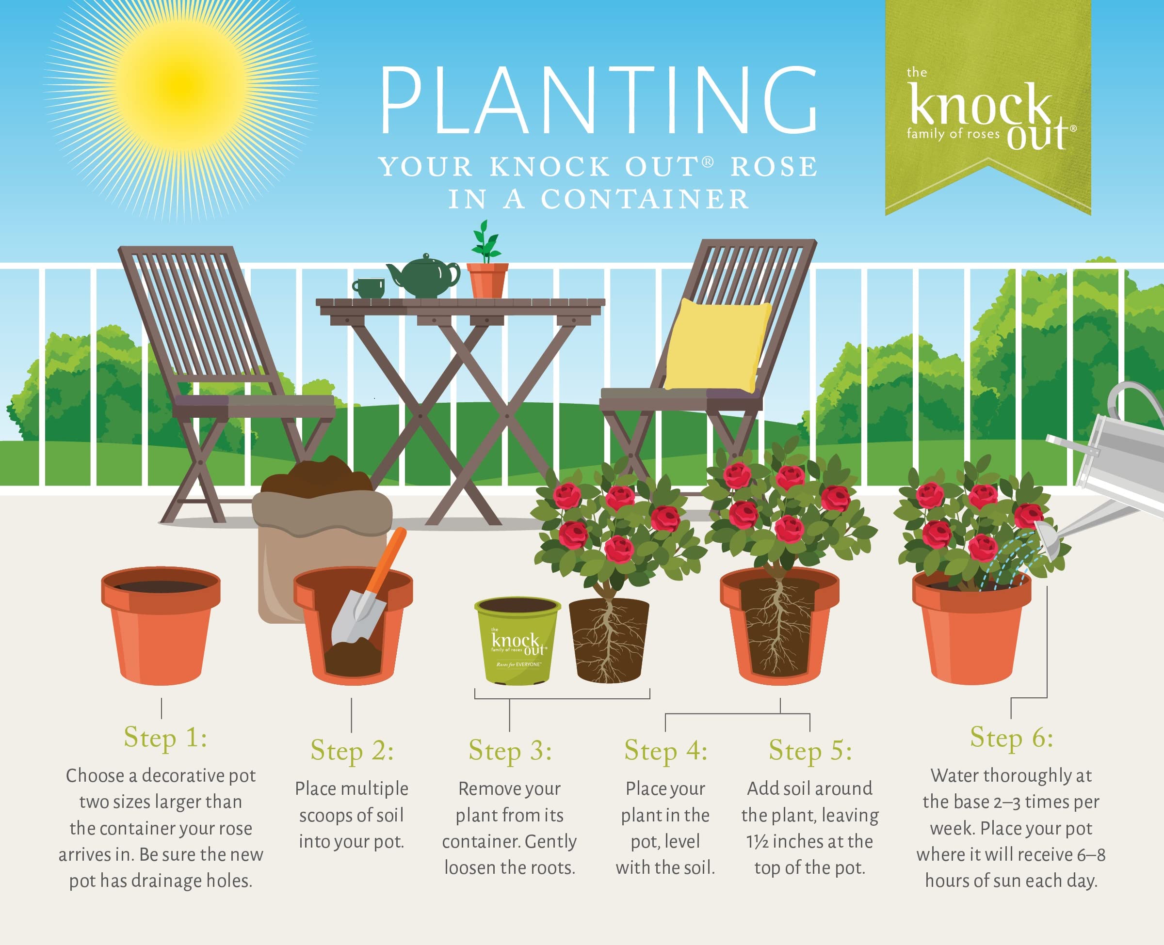 Generic Knock Out planted in a decorative container on patio, shows easy container use and landscape impact