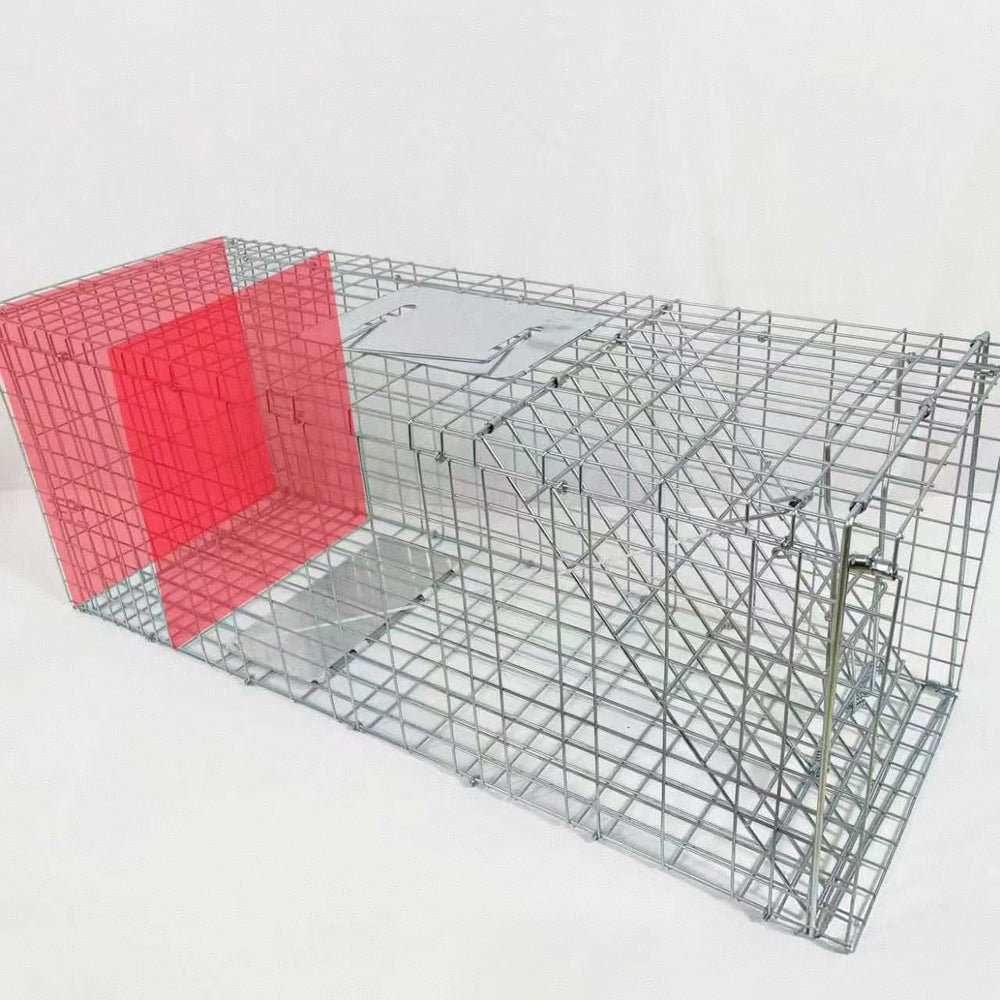 Generic trap placed in a yard setting showing humane capture and safe relocation benefit