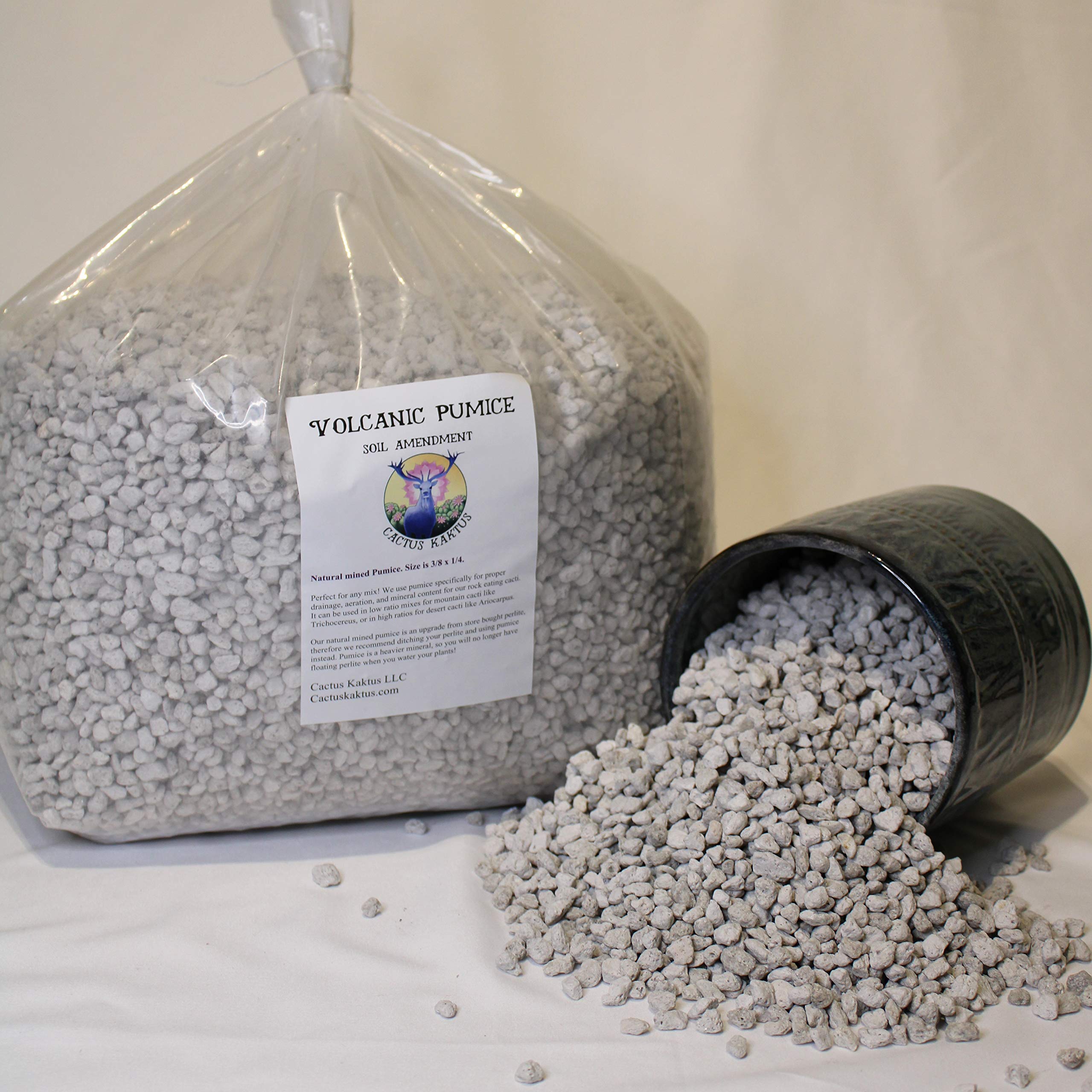 Generic pumice close-up texture showing porous granules for drainage