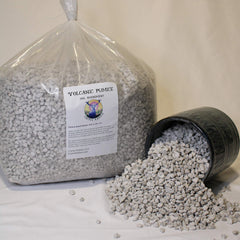 Generic pumice close-up texture showing porous granules for drainage