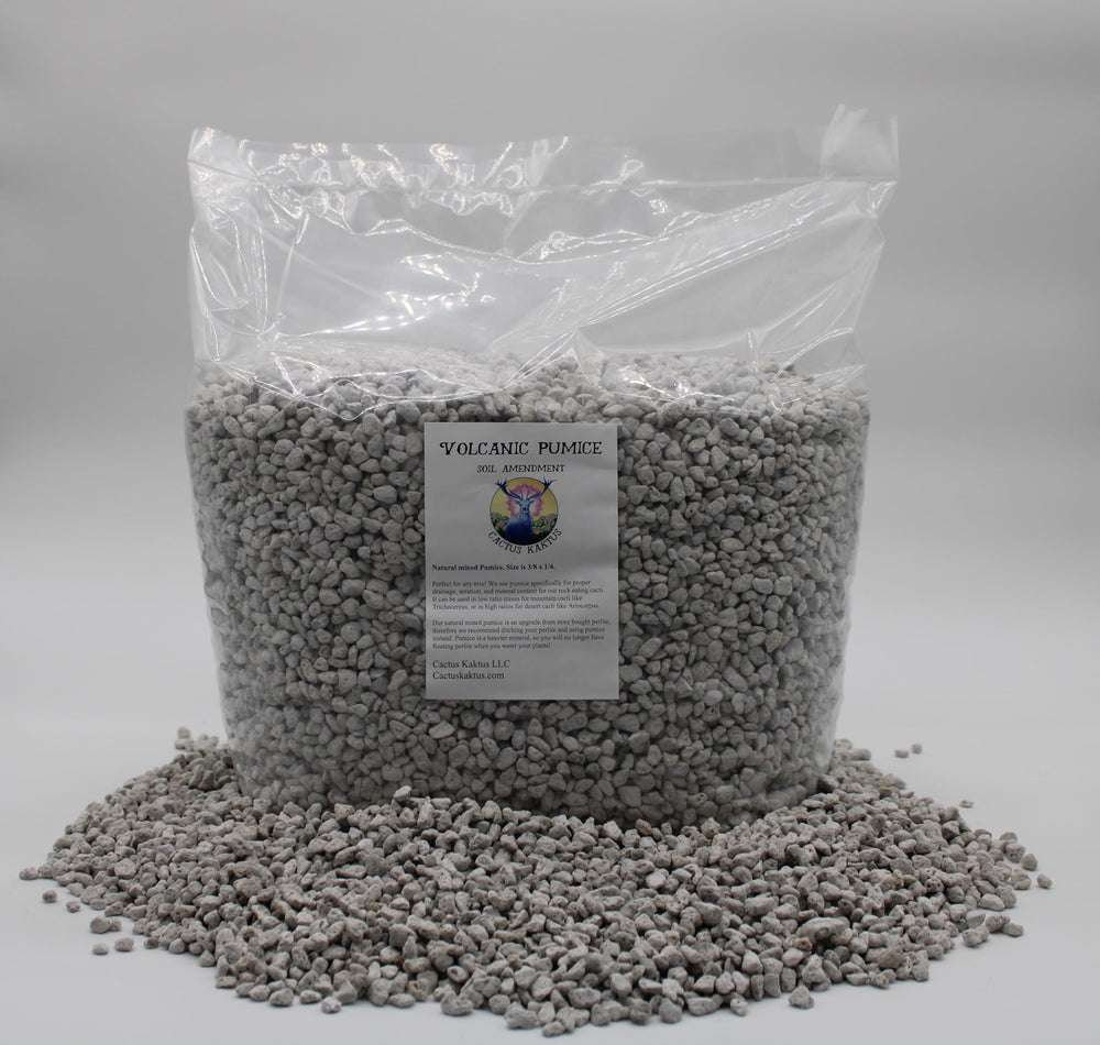 Generic brand pumice front-of-bag showing size and volume benefit