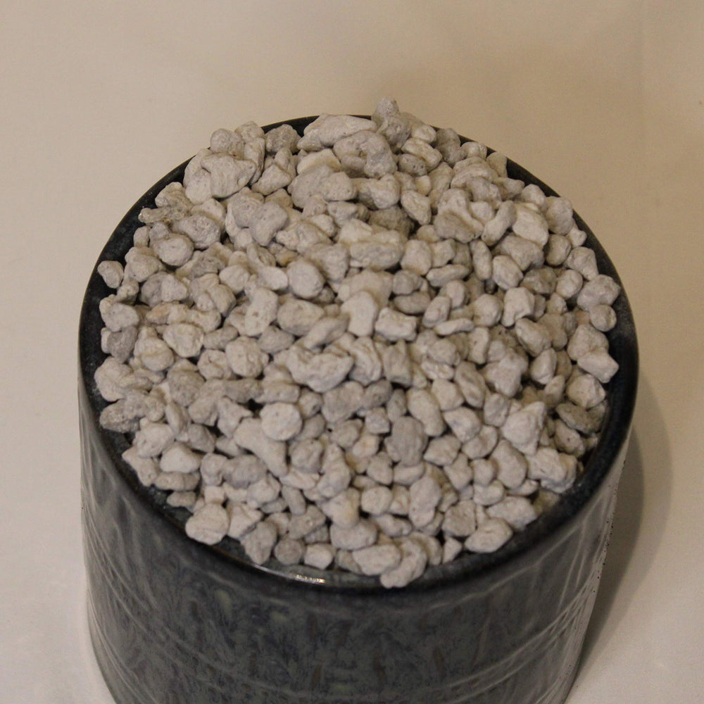 Generic pumice used in a potted succulent mix illustrating improved aeration