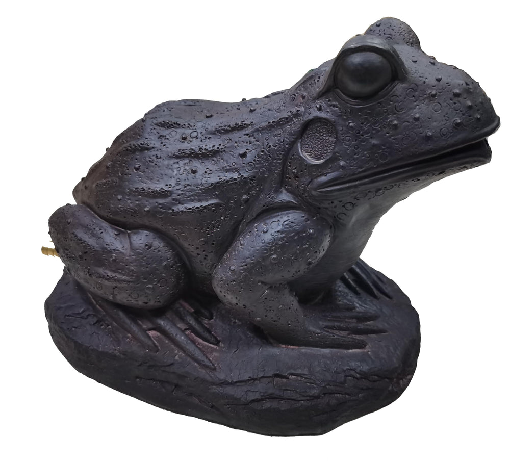 Generic brand frog close-up of textured resin finish and hose inlet, durable weatherproof detail