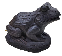 Generic brand frog close-up of textured resin finish and hose inlet, durable weatherproof detail