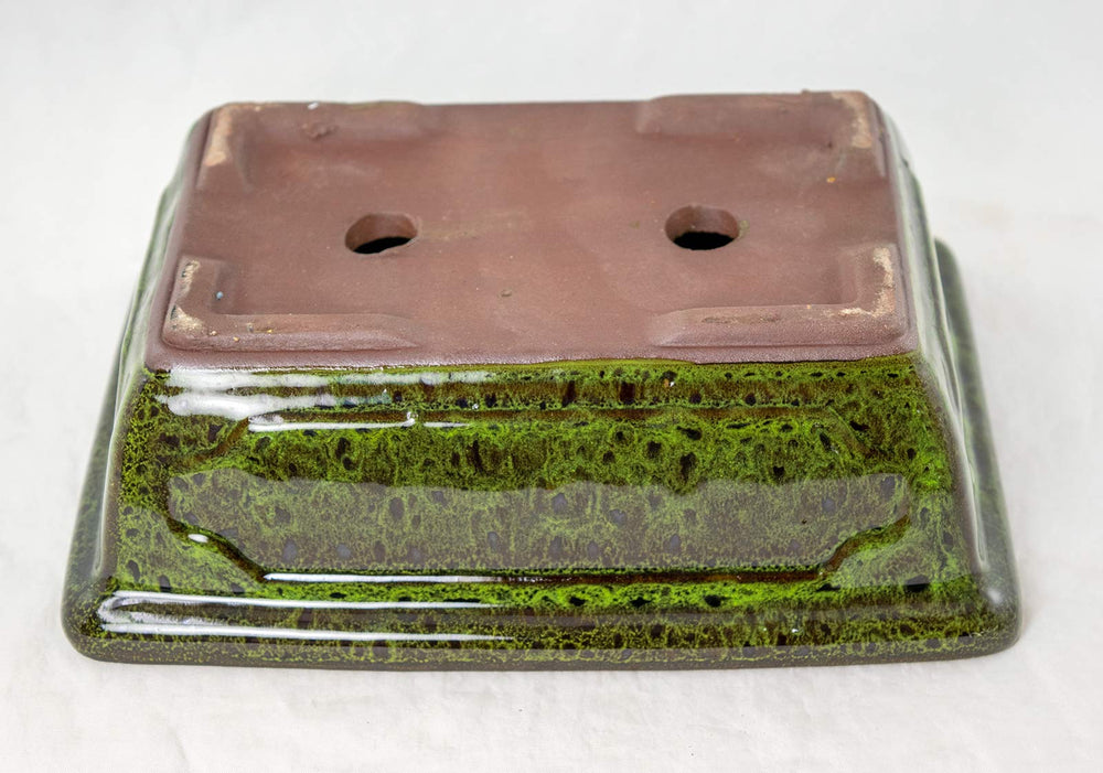 Generic hand holding pot to show scale and easy tabletop placement