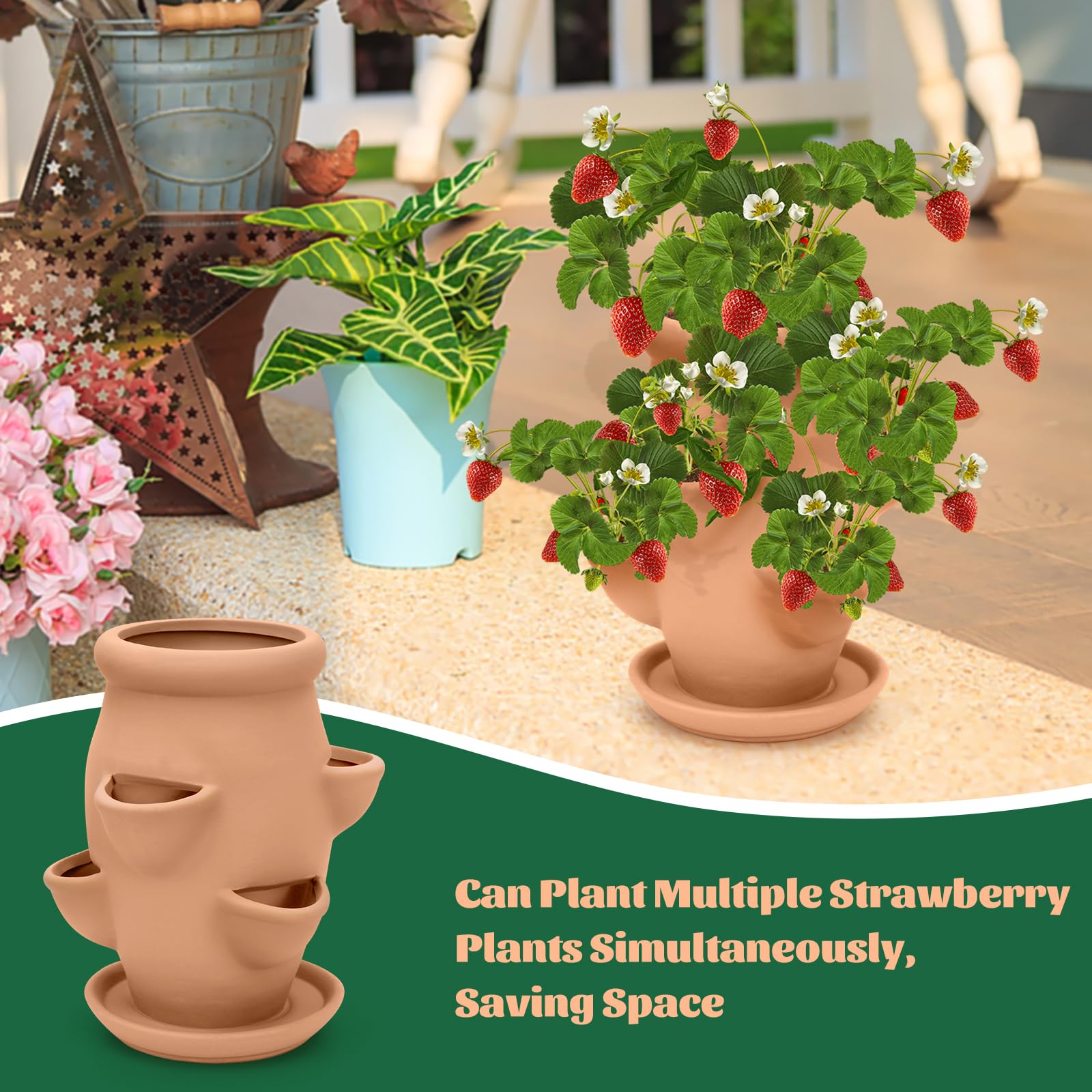 Generic planter next to a hand showing size and portability advantage