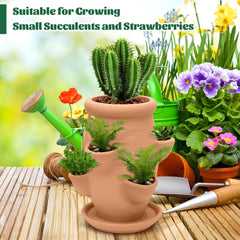 Generic planter filled with strawberries and succulents demonstrating productive use