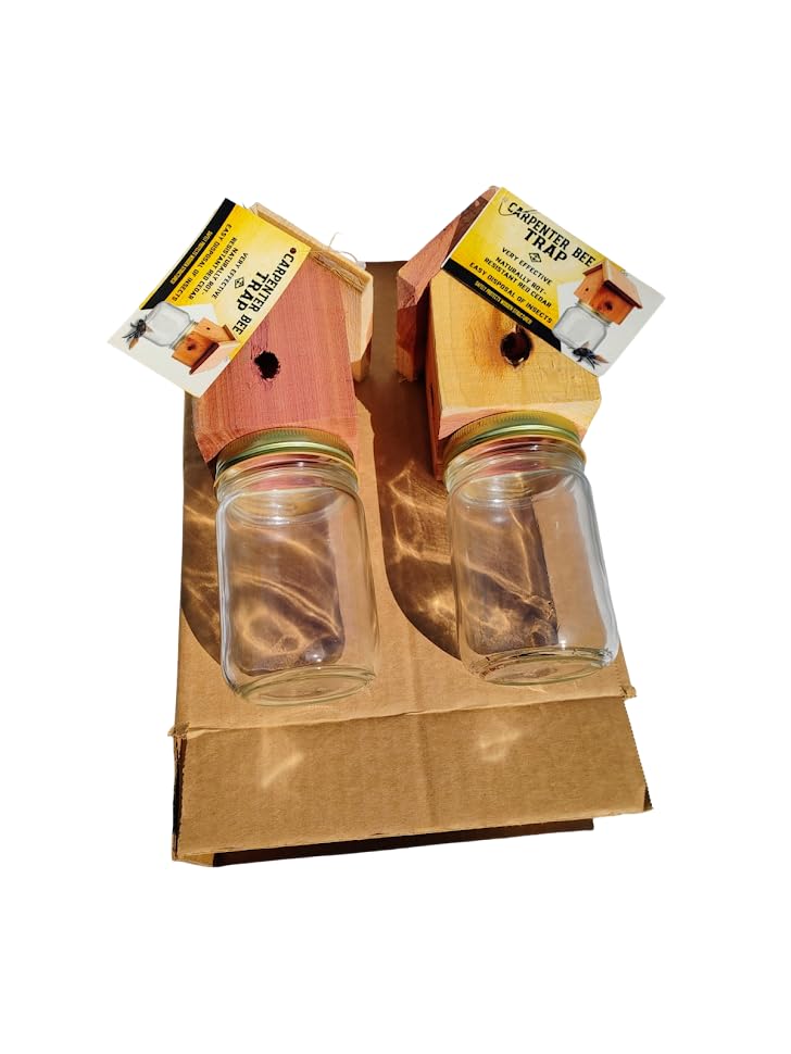 Generic trap hanging under eave demonstrating targeted carpenter bee placement