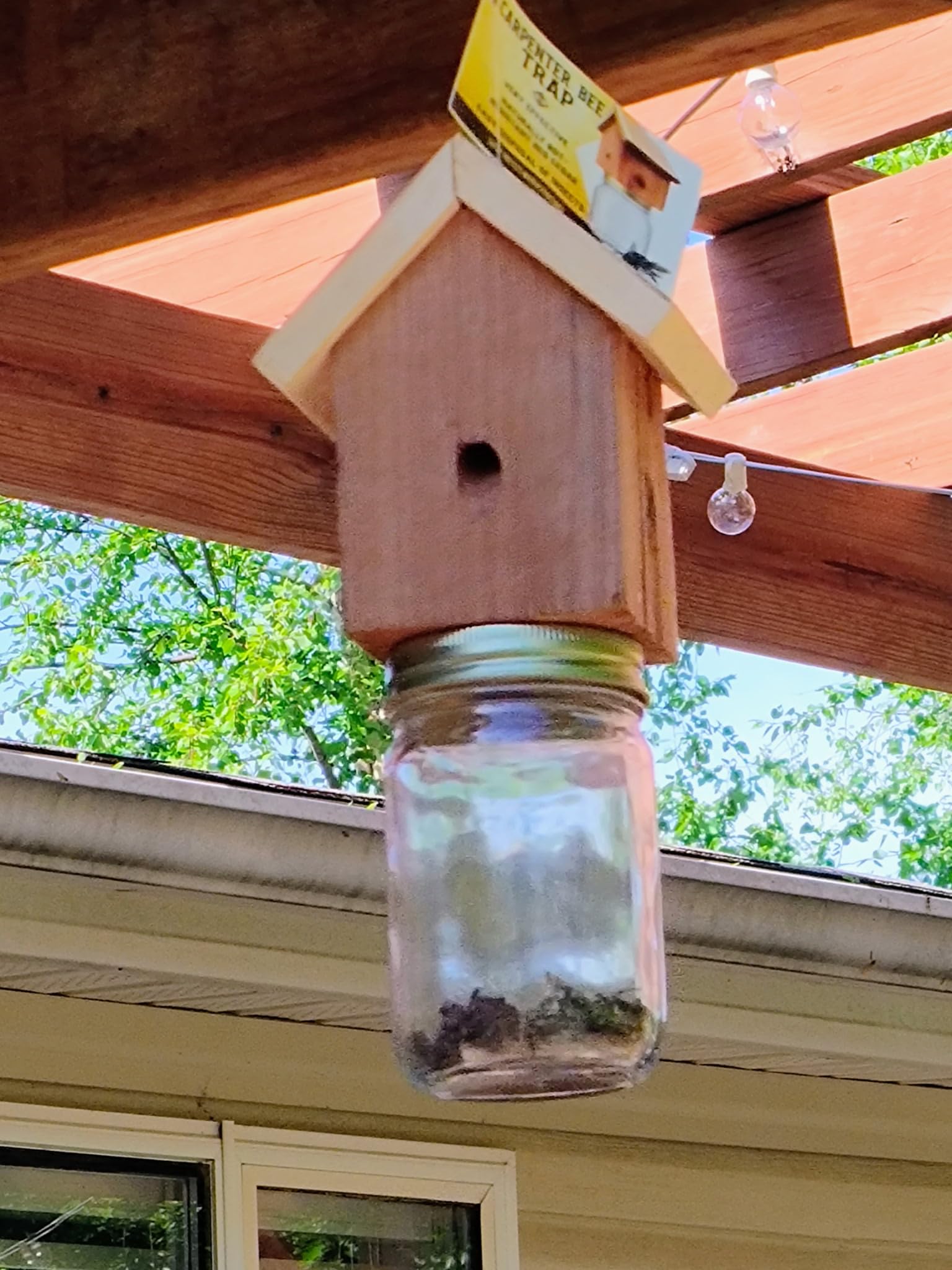 Generic trap interior channel open showing nest-mimic design and capture benefit