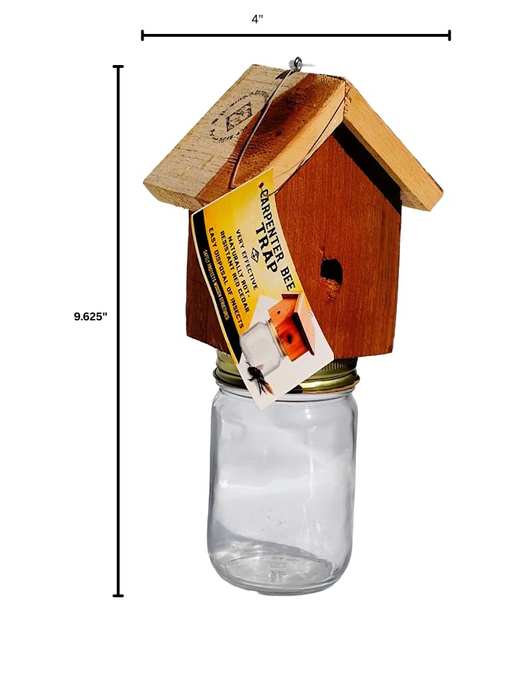 Generic trap beside ruler showing size for proper installation