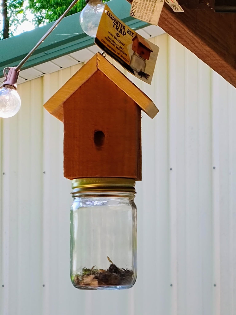 Generic trap styled on porch showing natural aesthetic that blends outdoors