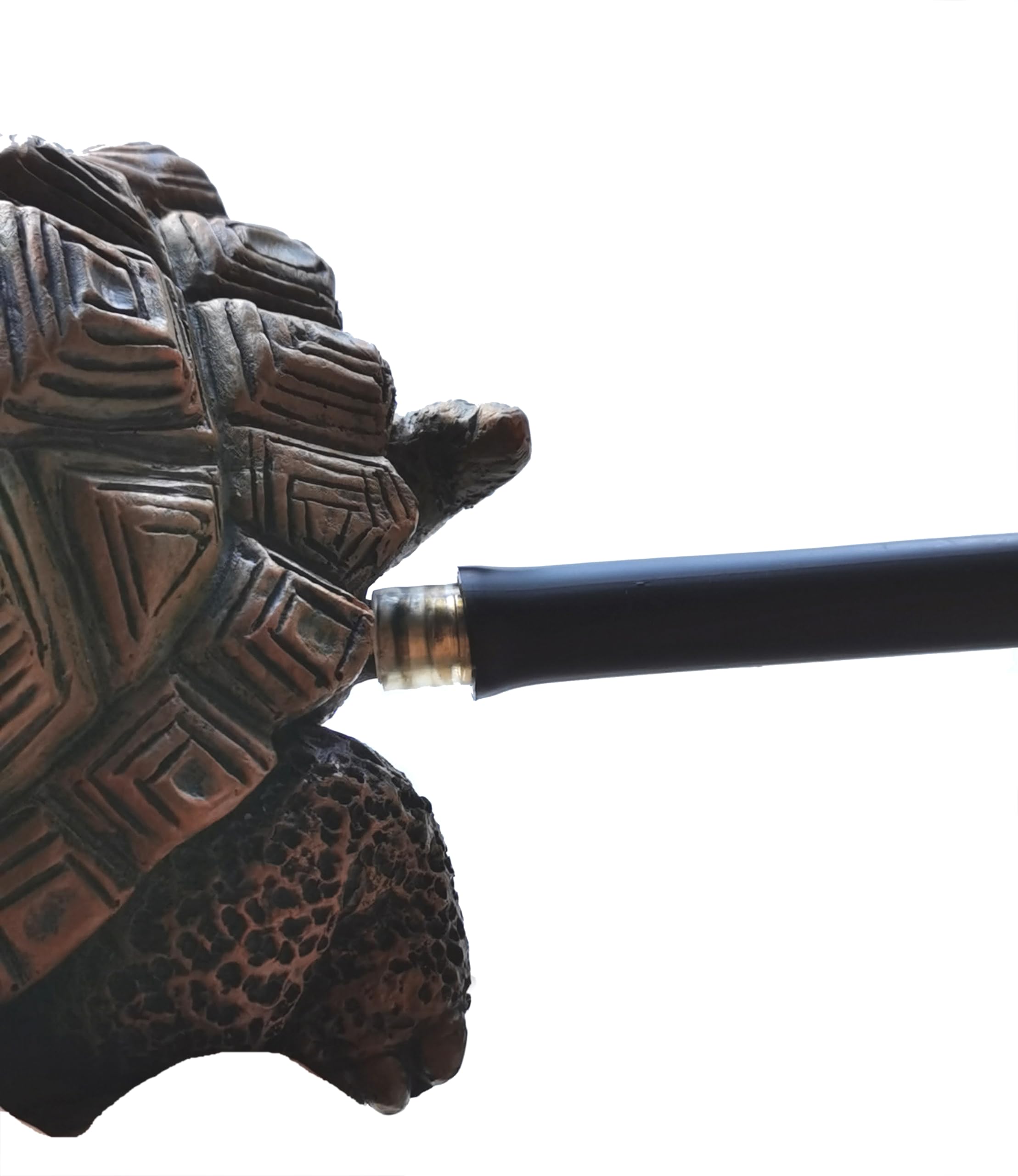 Generic turtle spitter placed in garden pond adding ambiance and gentle circulation