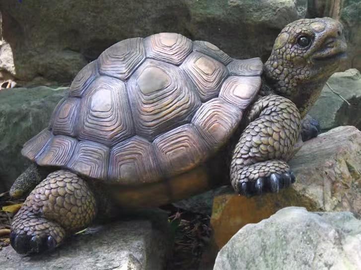 Generic tortoise statue placed in garden bed showing seamless landscape blending benefit