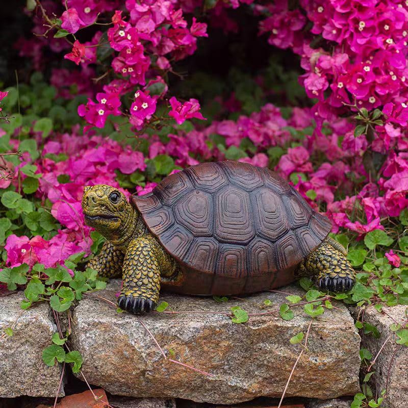 Generic tortoise statue poolside display adding charm and waterside accent benefit