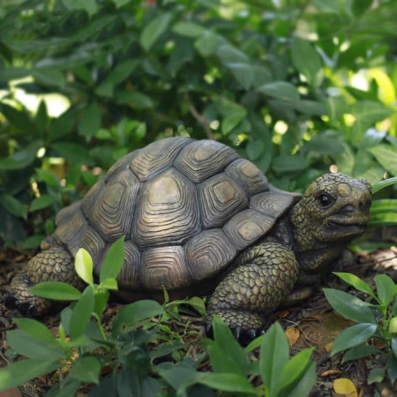 Generic tortoise statue size comparison with ruler showing scale and placement planning benefit