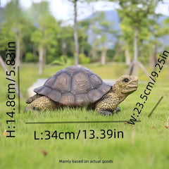 Generic tortoise statue skin texture closeup showing scale detail and natural look benefit