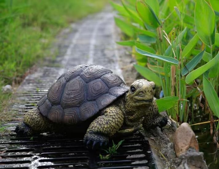 Generic tortoise statue stable base view showing sturdy design and secure outdoor placement benefit
