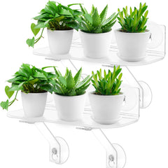 Generic brand front view of clear 12-inch shelf showing tidy plant display and sunlight benefit