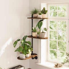 GENTINGBRO front view of 3-tier window shelf showing organized plants and sunlight benefits