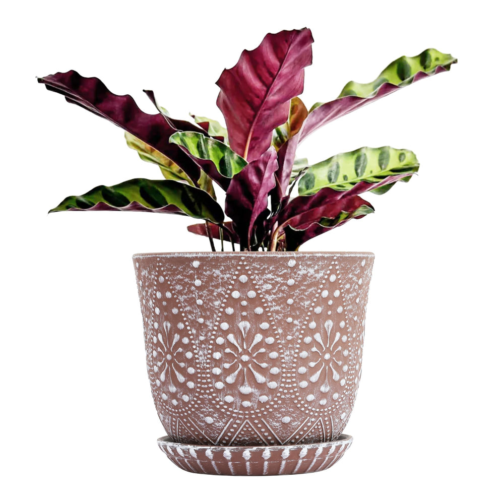 Gepege ceramic pot front view showing clean design and stable base, protects surfaces